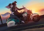 The Road To Forever by RileyFrostpaws -- Fur Affinity dot ne
