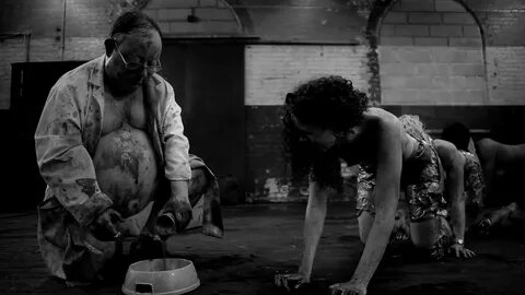 In Defense of 'The Human Centipede'
