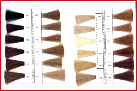 Redken Color Fusion Chart 2020 AnhedeniaFilms