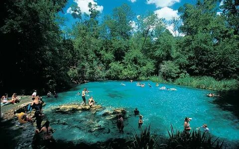 Seven Best Natural Florida Springs To Make Your Summer Spect