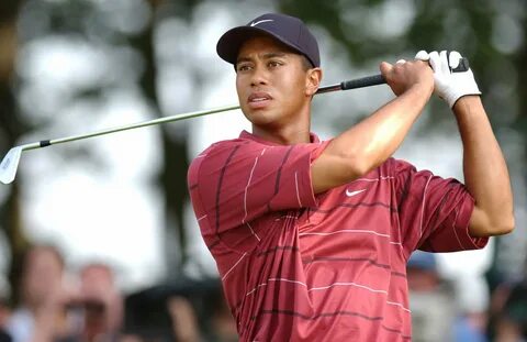 Tiger Woods Biography Related Keywords & Suggestions - Tiger