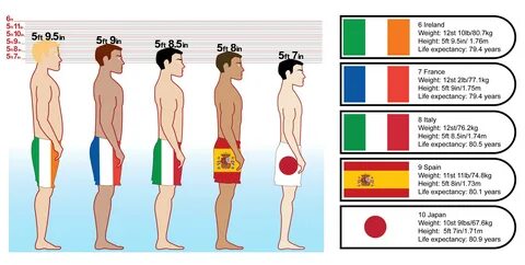 Average adult height japanese