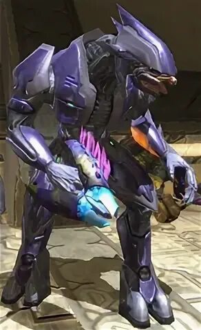 Special Operations Sangheili - Halopedia, the Halo wiki
