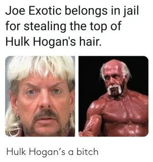 Hulk Hogan’s a Bitch Hulk Hogan Meme on ME.ME