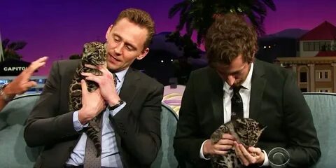 Tom Hiddleston Baby Leopard–Tom Hiddleston James Corden Show