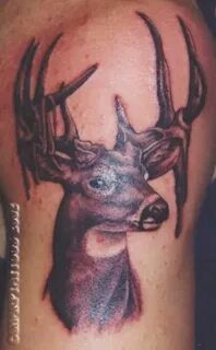 Pin by Robin Young on Tattoos Deer tattoo, Bow hunting tatto