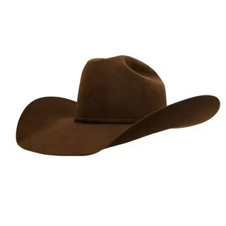 Understand and buy beaver hats for sale cheap online