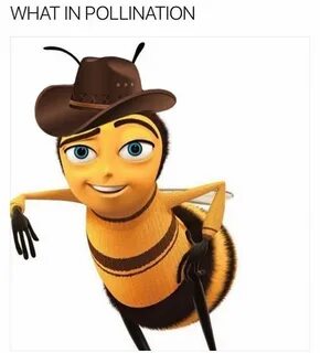 For My Friend Meagan part 8 What in tarnation Bee movie meme