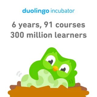 Duolingo or Babbel - Which is Better? My App Review - The Hu