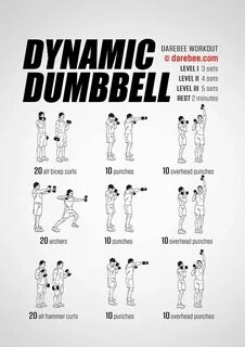Twitter Dumbbell workout, Full body dumbbell workout, Dumbel