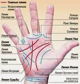 Почему линия жизни раздваивается на две ветви и что это озна