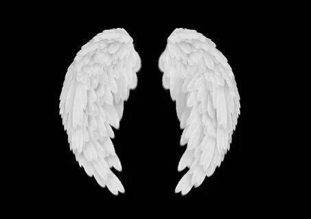 White angel wings, Angel wings, Angel pictures