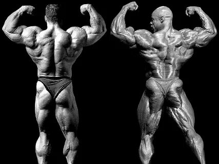 Dorian Yates 1993 vs. Ronnie Coleman 2003 - Mr. Olympia Page
