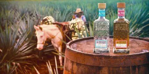 Olmeca Altos Tequila - AskMen