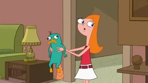 YARN Do you know where Phineas and Ferb are? Phineas and Fer