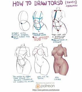 Новости Female anatomy reference, Body drawing tutorial, Ana