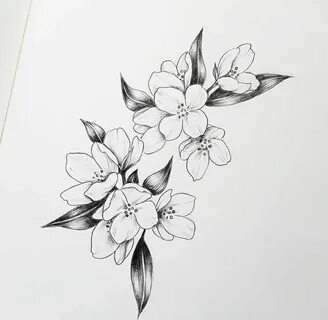 Can anybody tell me what kind of flower is in this drawing ?