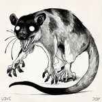 Yapok or Water opossum study. Look at those crazy massive pa