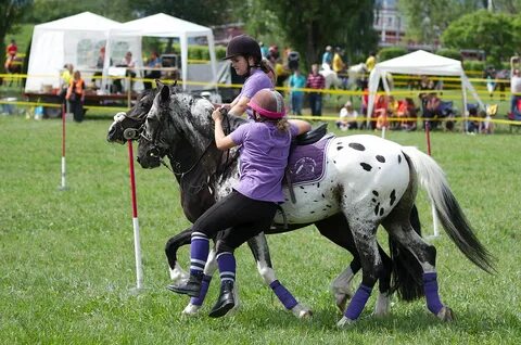 File:4ème manche du championnat suisse de Pony games 2013 - 