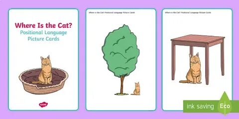 Where is the Cat? Positional Language Picture Cards - EYFS