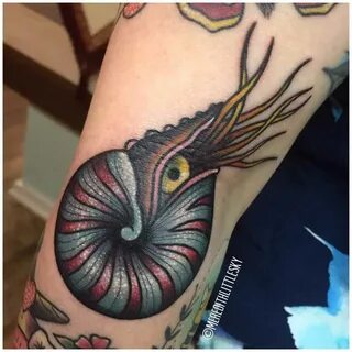 Nautilus Shell Tattoo on Arm Best Tattoo Ideas Gallery