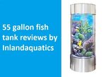 10 Best 55 Gallon Fish Tank Reviews 2022 - Inland Aquatics