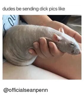 Dudes Be Sending Dick Pics Like Dick Pics Meme on awwmemes.c