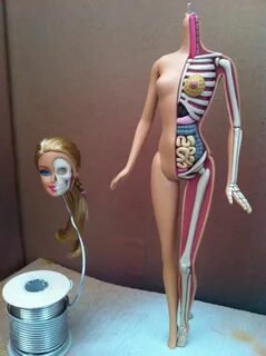 Barbie Anatomy Model by Jason Freeny