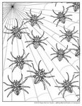 Halloween Spider Coloring Sheet 8.5 X 11 Coloring Etsy