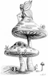 Mushroom drawing, Fairy drawings, Mushroom art