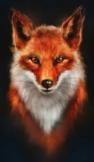 Red Fox or Firefox? Fox painting, Fox pictures, Cute animal 