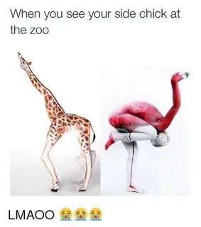 When You See Your Side Chick at the Zoo LMAOO 😭 😭 😭 Funny Me