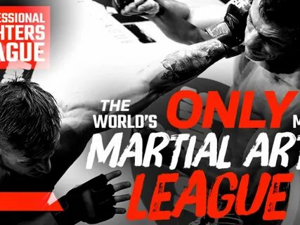 World class fight league