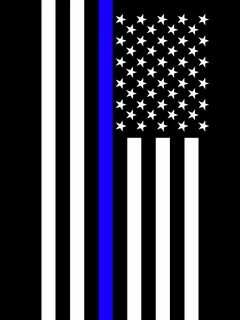 The Symbolic Thin Blue Line US Flag Law Enforcement Police D