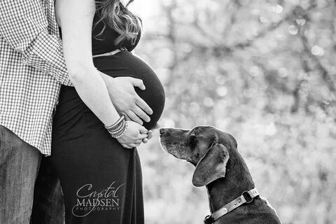 Beautiful maternity photo with the family dog :) Spokane pho