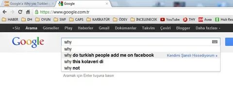 Google'a Why yaz Türkleri gör! DonanımHaber Forum