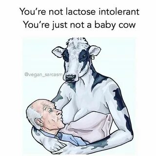 Instagram Memes, Vegan, Baby cows