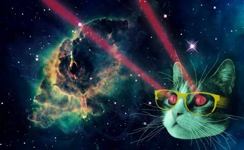 laser cat with glasses Space cat, Cool cats, Cats