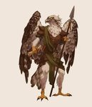 OC ART Tictus, the aarakocra druid : DnD in 2021 Dungeons an