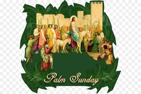 Palm Sunday png download - 647*597 - Free Transparent Palm S