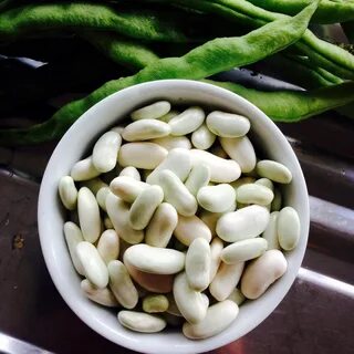 How to grow Shelling Beans Rediscover