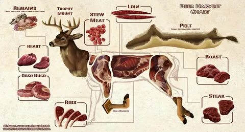 Best Part Of Elk Meat - JOHNWILSONONLINE.COM Blog