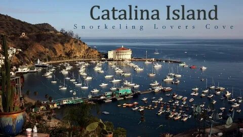 Catalina Island, California - Snorkeling at Lover's Cove - Y