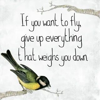 Bird Quote Motivational drawing free image download