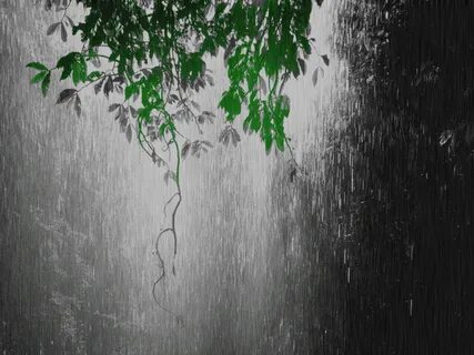 4K Gif Wallpaper Rain / Top Rain Background Gif Hd Download 