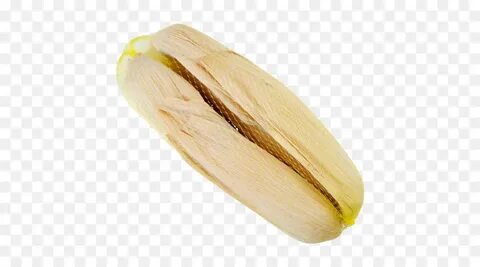 Corn Cartoon png download - 500*500 - Free Transparent Tamal