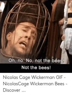 🐣 25+ Best Memes About Nic Cage Bees Meme Nic Cage Bees Meme