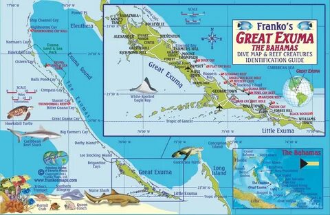 Bahamas Fish Card, Great Exuma Island 2010 by Frankos Maps L