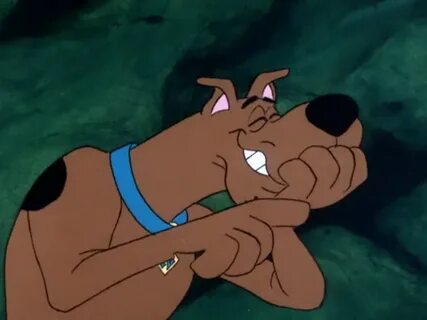 Scooby-Doo Laughing he's is funny always goofing Scooby doo 