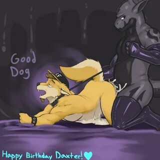 Jackie Demon в Твиттере: "Birthday gift for this dog.@Daxter